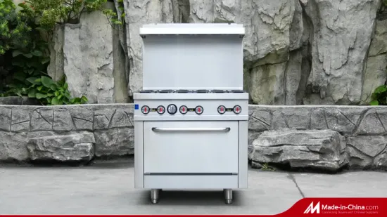 Cucina a gas professionale a libera installazione 10 fuochi Rgr60 con doppi forni